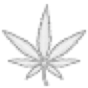 weed3