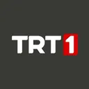 indir24