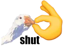 ssss
