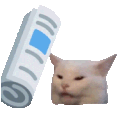 kedi