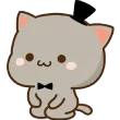 PoldarkCat_kedi