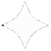 thebanner_white_star