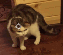 OwoDark_Catwhat