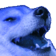 owodark_kopek1
