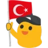 turkvarmi