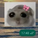 emoji_27