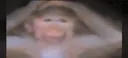 maymunbaldi