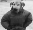 R3