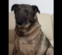 R3