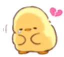 chickshy