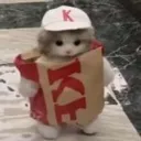 KFCcat