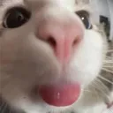mlem