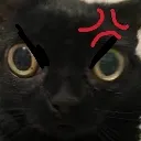 sinirlikedy