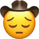 1128sadcowboy
