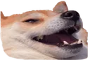 hawli_kopke