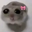 cute