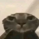 ok