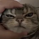 kzgnkedy