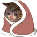 sadcat_blanket