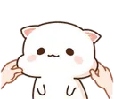 widicute