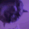 Ecel_Disco