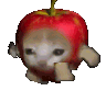 1034560527352987718