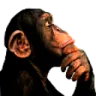 monkey_thinking