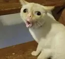 emoji_1
