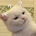 __