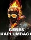 g5kaplumbaga