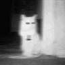 ake_kedii