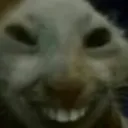 dnfbksnfnf