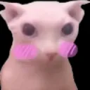 uwu