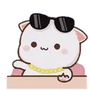 animal18