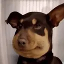 uhhhh