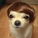 hair