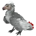 arge