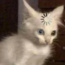 beyinerror
