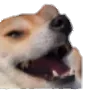 kpke