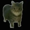 emoji_3