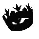 siyahta