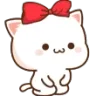 risppettocady