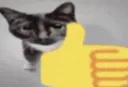 catthumbsup