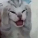 enough