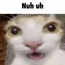 nuhuh