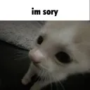 sorry
