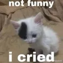 notfunny