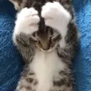 uhu
