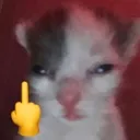 ayip
