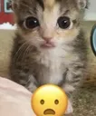 surprised
